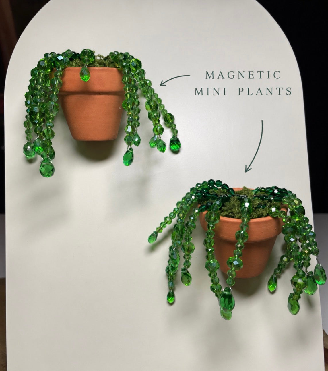 Forever Vine (Mini)