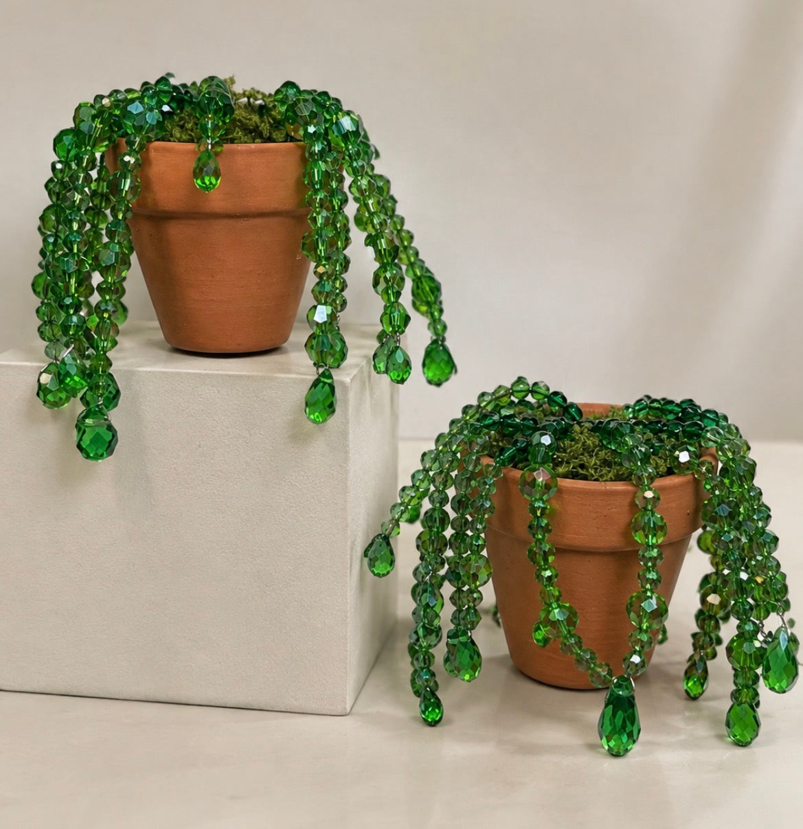 Forever Vine (Mini)