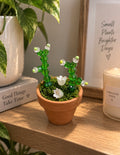Little Bloom
