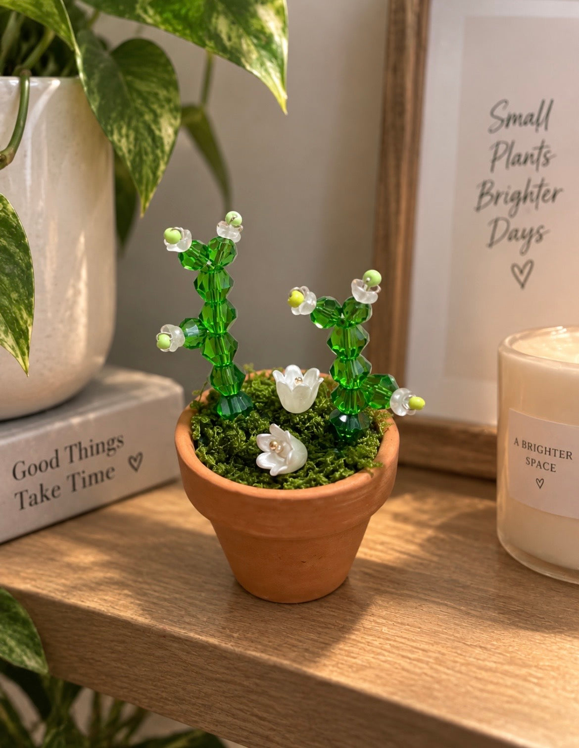 Little Bloom
